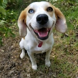 Meet your Posher, Star